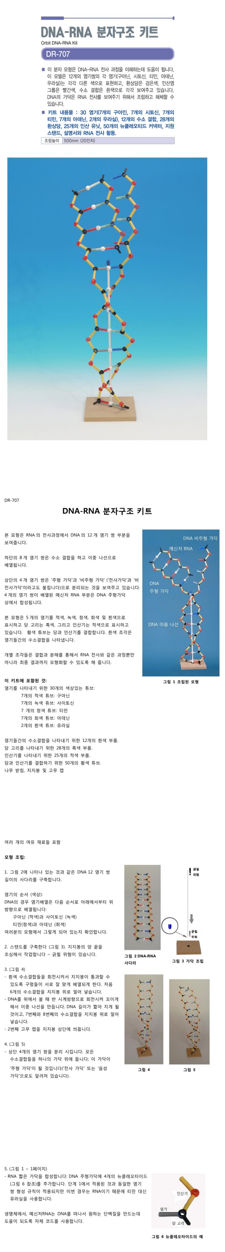 DNA-RNA 분자구조 키트 상세내용 이미지