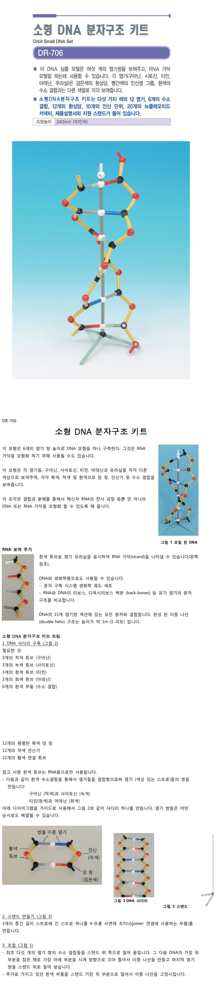 소형 DNA 분자구조 키트 상세내용 이미지