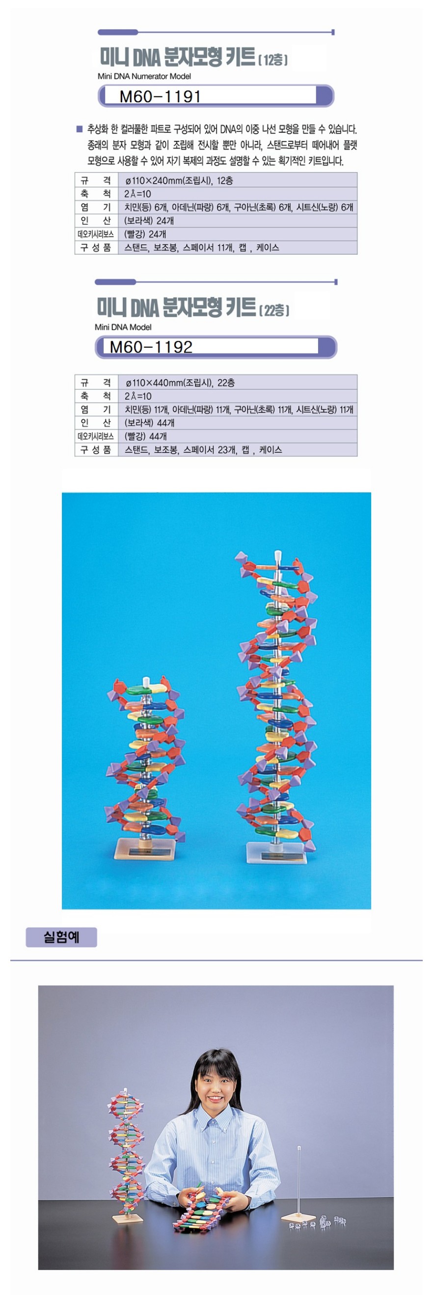 NaRiKa(나리카) 미니DNA분자모형키트 상세내용 이미지