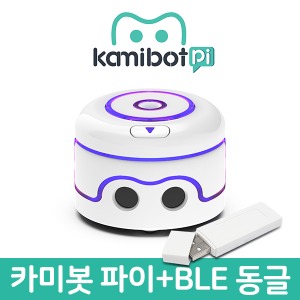 카미봇 파이 AI